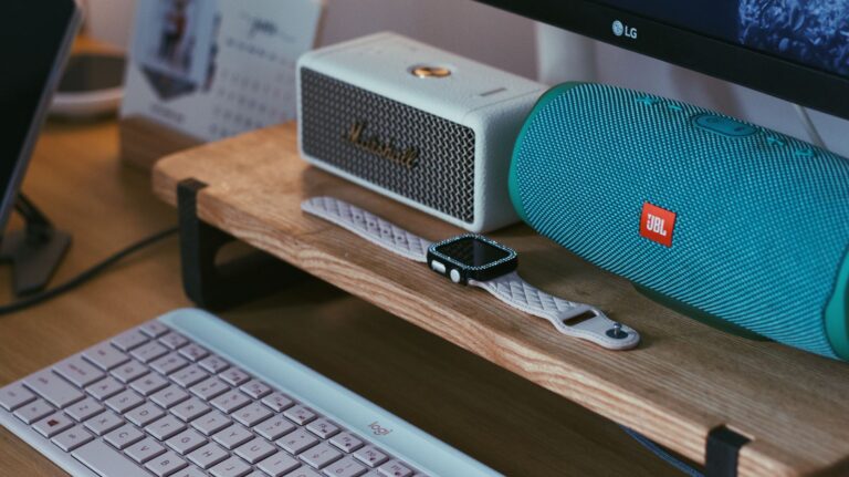 Enceinte JBL quelle référence choisir — enceinte Bluetooth JBL en extérieur